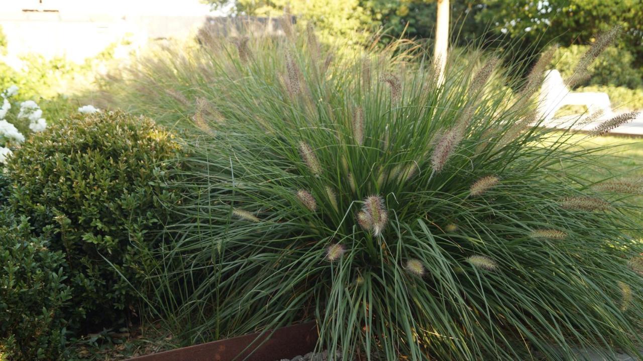 לינה וארוחת בוקר Les Terrasses De Templeuve מראה חיצוני תמונה